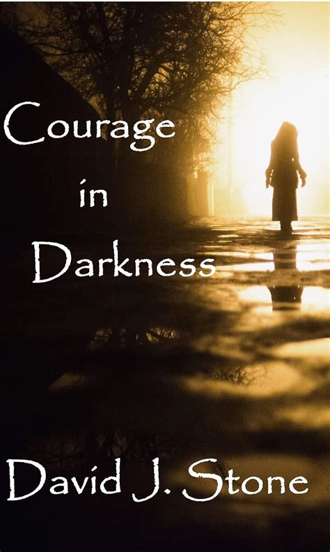 Courage in Darkness (The AMOK Series Book 2) eBook : Stone, David J ...