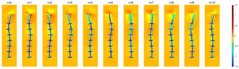 Temporal Evolution of the Hydrodynamics of a Swimming Eel Robot Using ...