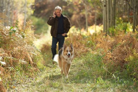 Darling Companion (2012)