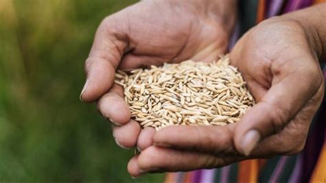 Assam exceeds target, enrolls 42 lakh beneficiaries under NFSA ...