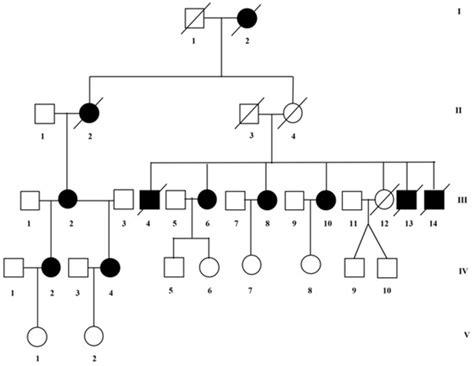 A Large Family with p.Arg554His Mutation in ABCD1: Clinical Features ...