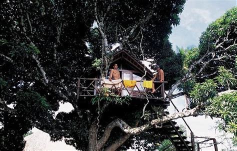 CHALÉS ARTE NA MATA (Itacare) - Lodge Reviews, Photos, Rate Comparison ...