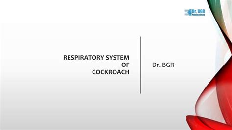 Cockroach Respiratory System 的图像结果