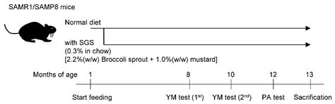 Sulforaphane Increase Mitochondrial Biogenesis-Related Gene Expression ...