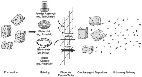 Image result for Dry Powder Inhaler Technique