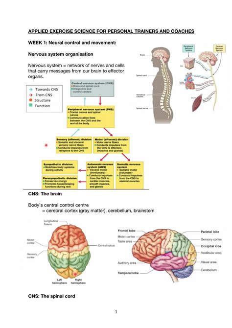 Applied Exercise Science 的图像结果