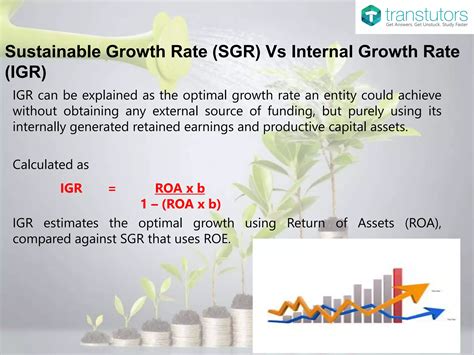 Sustainable Growth Rate | Finance | PPTX