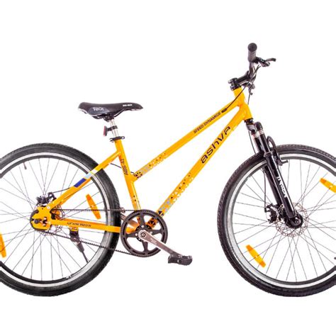 Buy Steed ABS 42 Single Speed Bike Online – Steedcycles