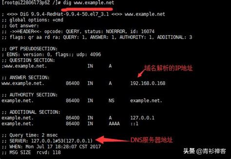 深圳DNS地址多少？组建服务器 深圳 - 世外云文章资讯