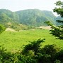 Image result for 草原 grassland