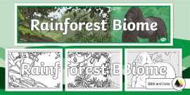 Taiga Biome Banner