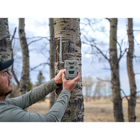 SpyPoint Flex G36 36.0 MP Cellular Game Cameras 2-Pack | Academy