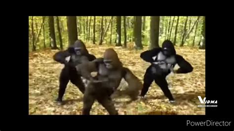Image result for L2 Library Code
