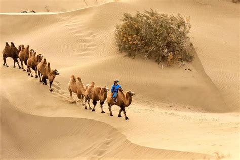 世界上拍照最美的沙漠，没有之一_凤凰时尚