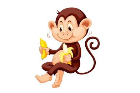 2004年属猴的是什么命，04年出生的猴五行属什么 -属猴-生肖网