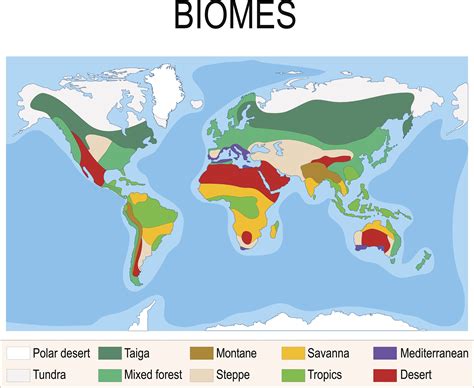 There are zones on earth that get divided known as a biome. Biome ...