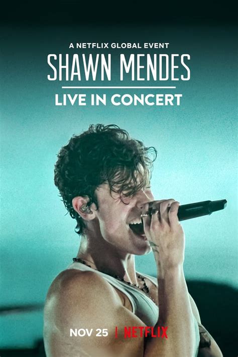 Shawn Mendes Live in Concert (2020) (เต็มเรื่อง) | Nung2HD