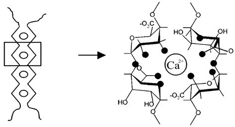 Methylene Blue Solid Alginate Gels for Photodynamic Therapy: The ...