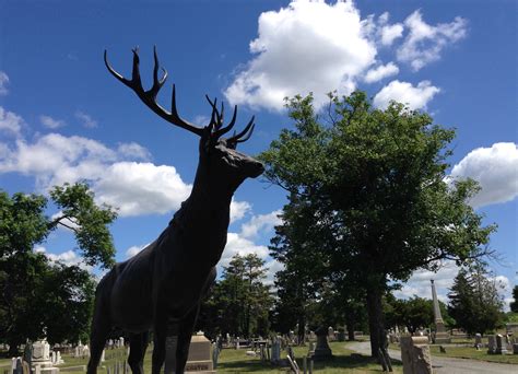 Friends Of North Burial Ground - Providence Daily Dose