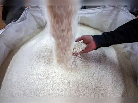 Agro stock picks: Long-term investing using a different lens: From ...