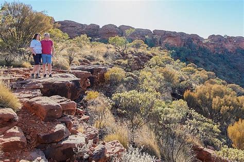 2023 Kings Canyon Day Trip from Ayers Rock (Uluru)
