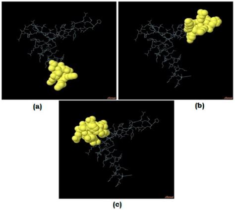 Venereology | An Open Access Journal from MDPI