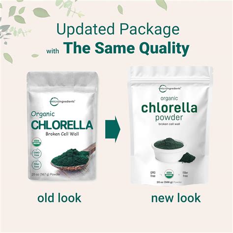 MicroIngredients Micro Ingredients Organic Chlorella Powder, 20 India ...