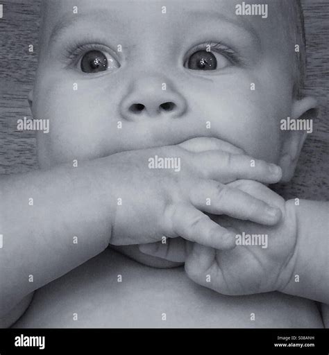 Sucking young hi-res stock photography and images - Alamy