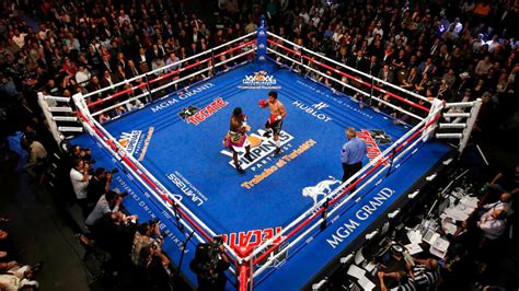 Image result for How to Watch Boxing