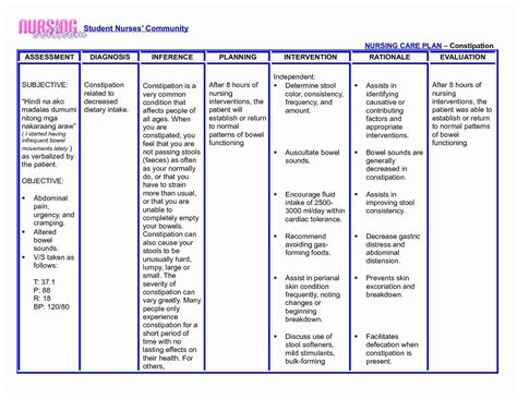 Care Plan Approach Template