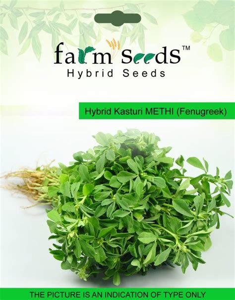 Farm Seeds Hybrid Kasturi Methi Seed Price in India - Buy Farm Seeds ...
