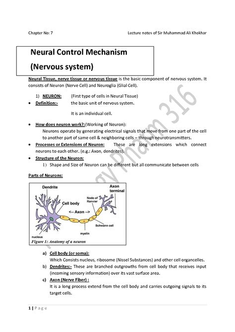 Image result for Neural Control Mechanism