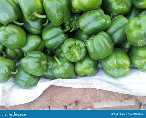Fresh green bell pepper stock photo. Image of dinner - 66142226