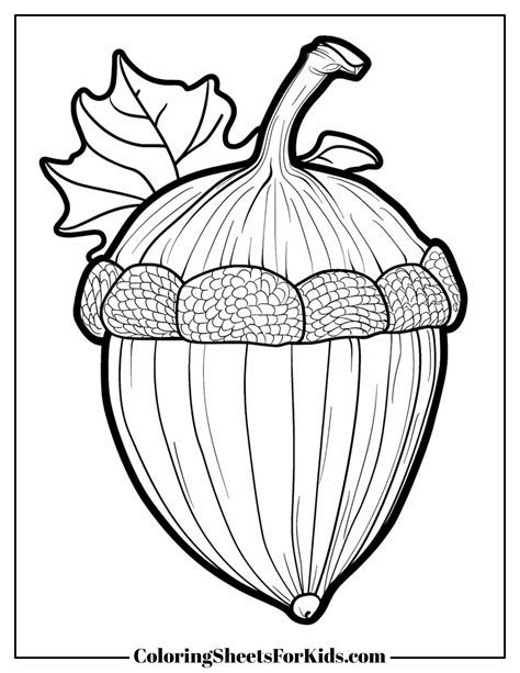 Acorn Coloring Pages (Free Print) - Coloring Sheets For Kids