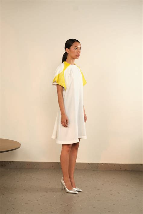Fish Gill Overlay Dress – WAREHOUSE