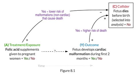 Causal Inference Example 的图像结果