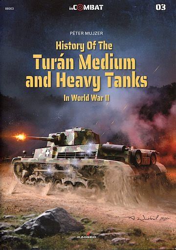 Image result for Multan Tank History