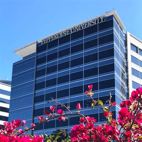 Pepperdine GSEP Introduces New Full-Time Faculty Members | Newsroom ...