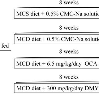 Animal Medicine 的图像结果