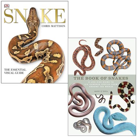 Buy Snake: The Essential Visual Guide By Chris Mattison & The Book of ...