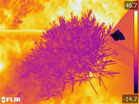Image result for Thermal Image Processing Python