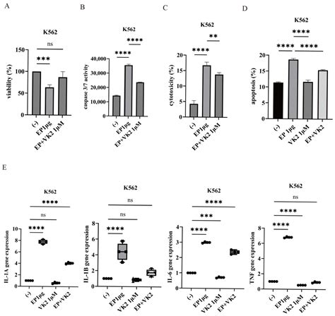 Vitamin K2 Protects Against SARS-CoV-2 Envelope Protein-Induced ...