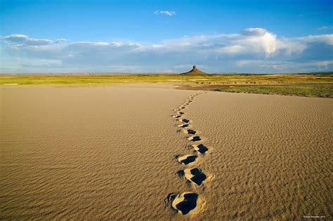 Boar's Tusk Tracks | Killpecker Sand Dunes WSA, Wyoming | Dave ...