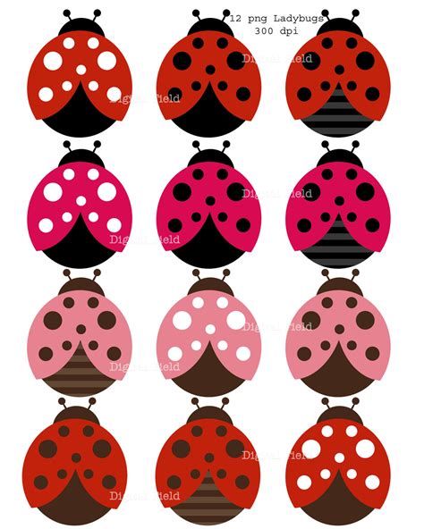 Free Ladybugs Clipart, Download Free Ladybugs Clipart png images, Free ...