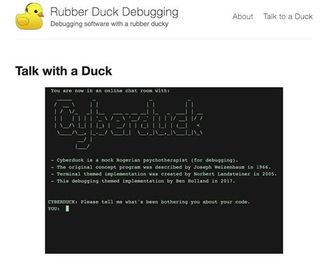 Image result for Debugging Duck Python