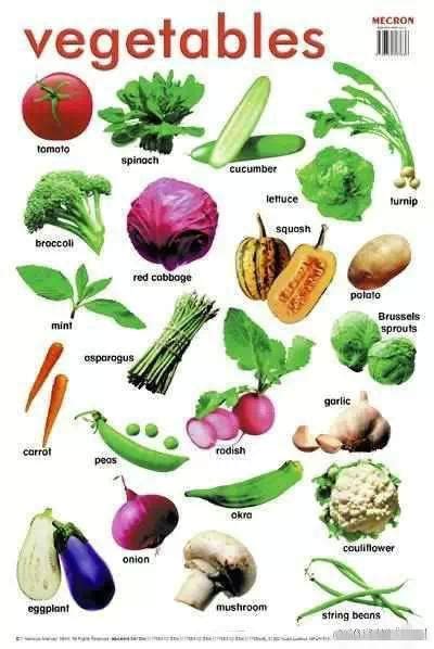 各类青菜图片大全大图,60种蔬菜名字图片大全,上海青菜图片(第4页)_大山谷图库