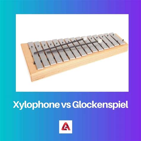 What Difference Between Glockenspiel And Xylophone at Humberto Watts blog