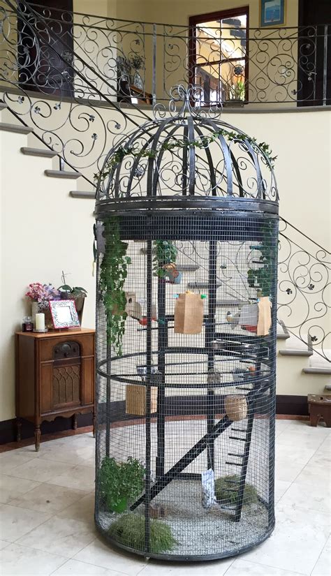 Diy Bird Cage, Bird Cage Design, Bird Cage Decor, Pet Enclosure ...