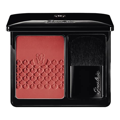 Rose Aux Joues - Tender Blush • 02 Chic Pink