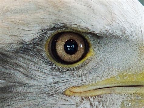 Seeing with Different Eyes – Nature’s Depths